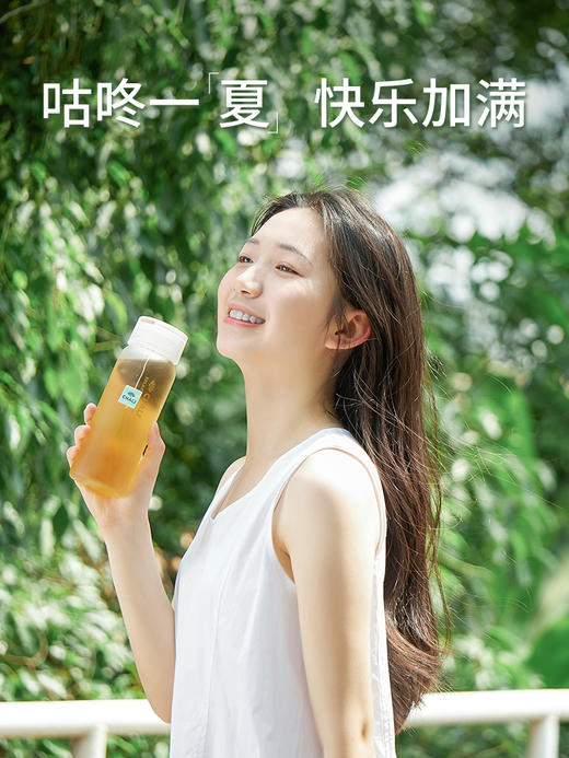 茶里冷泡茶盒装36g（PET版） 商品图2