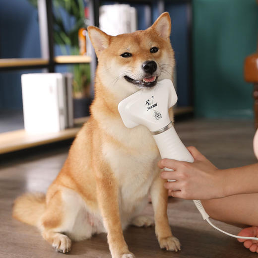 【将爱传递给爱宠】宠物吹毛用品猫咪狗狗宠物吹风机，拉毛清洁猫狗电动宠物吹风梳 商品图1