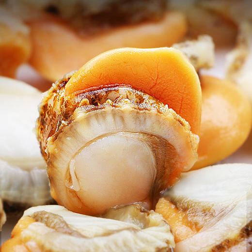 【北海湾】无冰超大扇贝肉红贝200g*5袋 商品图3