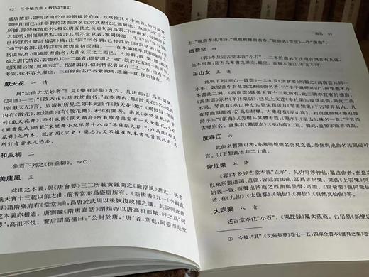 《任中敏文集》，任半塘先生著，全十册一套，大32开精装，凤凰出版社。定价1480，售价798元。 商品图10