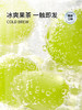 茶里冷泡茶盒装36g（PET版） 商品缩略图1