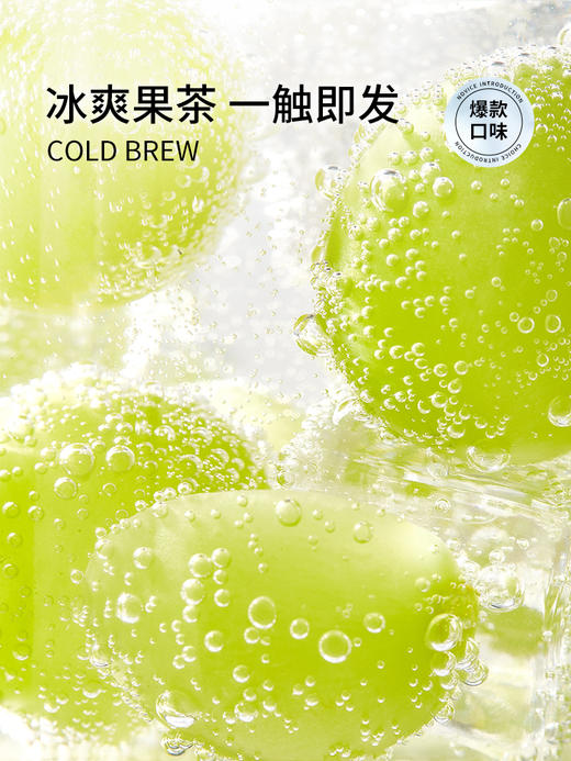 茶里冷泡茶盒装36g（PET版） 商品图1