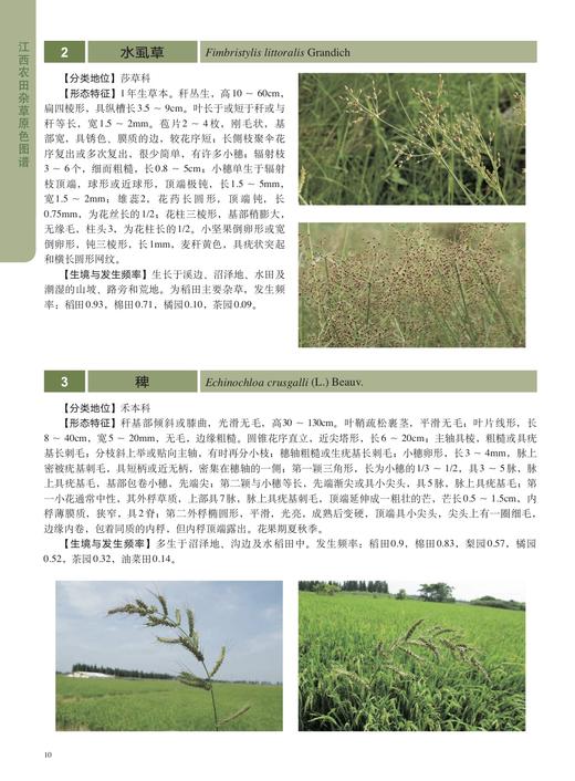 江西农田杂草原色图谱【中国出版社官方正版】 商品图1