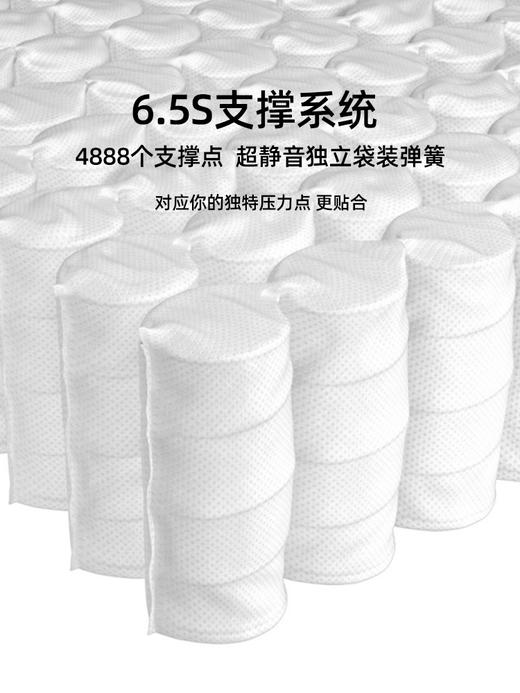 蜗牛睡眠床垫C1-卷包软硬两用独立弹簧可拆洗家用床垫 商品图2