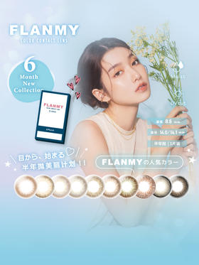 【自营仓·正常发货】Flanmy 中文进口版 半年抛 1枚入