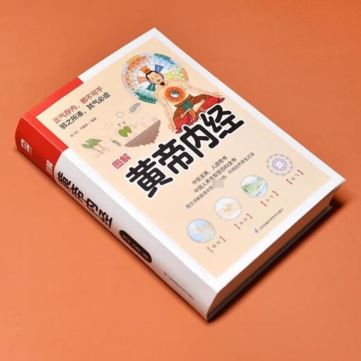 软精装国学 图解黄帝内经 陈飞松等 著 医学 商品图2