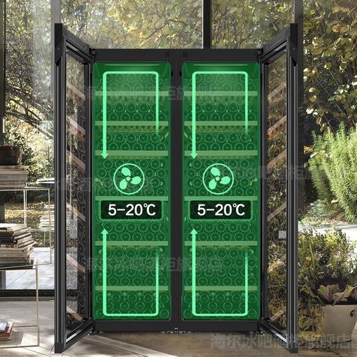 海尔（Haier）红酒柜恒温恒湿立式家用大容量冷藏保鲜冷柜榉木酒架窖藏葡萄酒茶叶雪茄展示柜 247瓶 恒温恒湿 JC-450WGHU1 商品图5