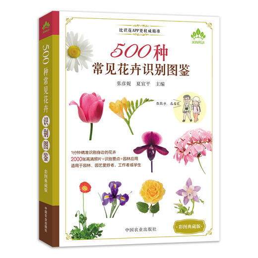 【花卉、园林植物、芳香植物、彩叶植物】识别图鉴（4本套装）比识花APP更精准 商品图2