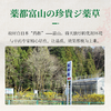 第2瓶立减20元【调胃肠、清口气】日本原装进囗，解决口气根源：排毐、克箘、降火、修护胃肠，口含草木清香！传承古方 天然原材 匠心手作 商品缩略图4