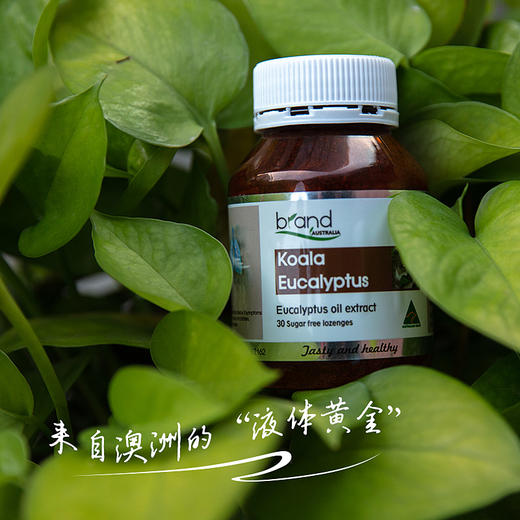 【澳洲“咽沛清道夫”】澳洲进口 布兰德清口糖 清沛 润躁  舒爽咽喉必备 商品图1
