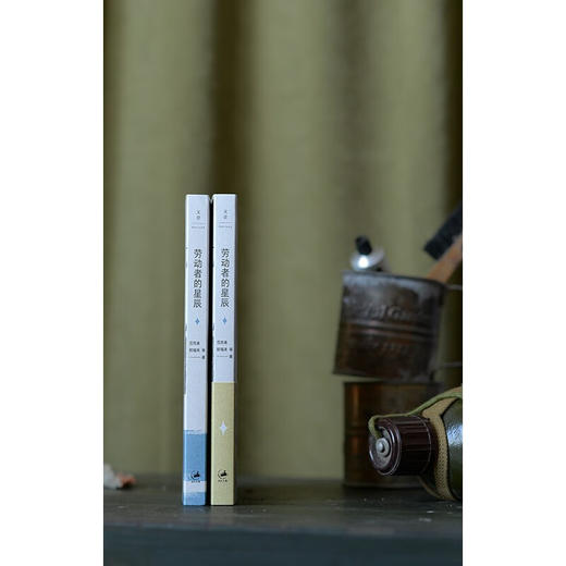 劳动者的星辰 范雨素 郭福来 等著 文学 商品图1