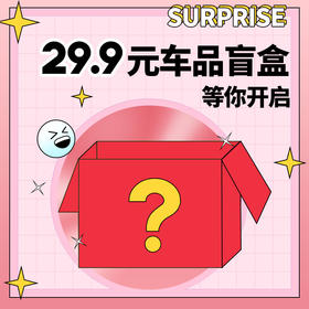 29.9车品盲盒