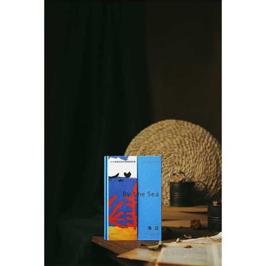 海边 阿卜杜勒拉扎克·古尔纳 著  离散的人 寻着故事回家 体现古尔纳对难民处境关注 小说 商品图2