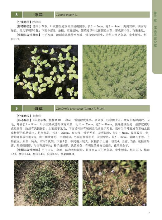 江西农田杂草原色图谱【中国出版社官方正版】 商品图4