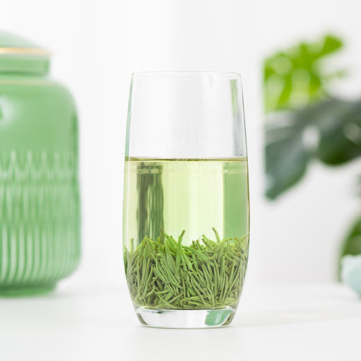 浦桥玉剑有机绿茶250g瓷罐装（限量版） 商品图3