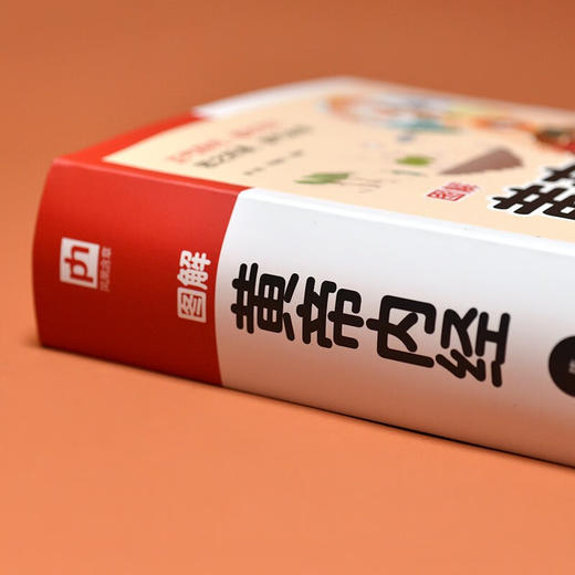 软精装国学 图解黄帝内经 陈飞松等 著 医学 商品图1