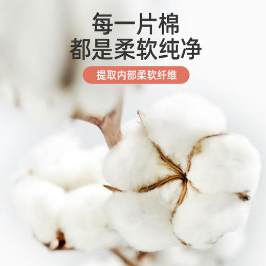 潮小喵珍珠纹洗脸巾168g/A-3379 商品图2