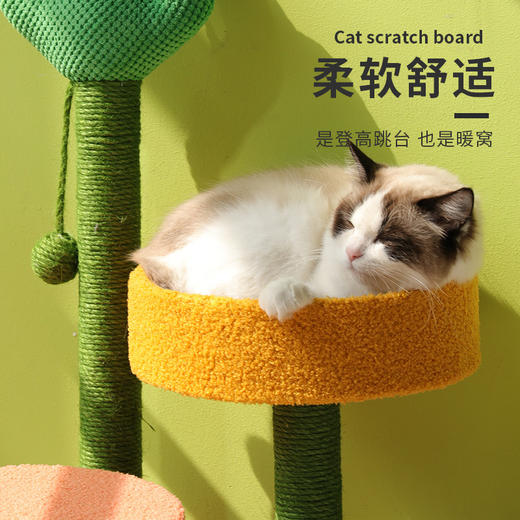 【将爱传递给爱宠】萌趣仙人掌猫爬架，剑麻耐磨猫抓板猫窝一体式 猫树猫咪跳台猫爪猫玩具 商品图2