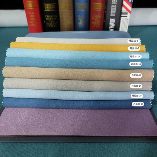 YC-丹尼丝-黑丝轻奢遮光布 商品图3