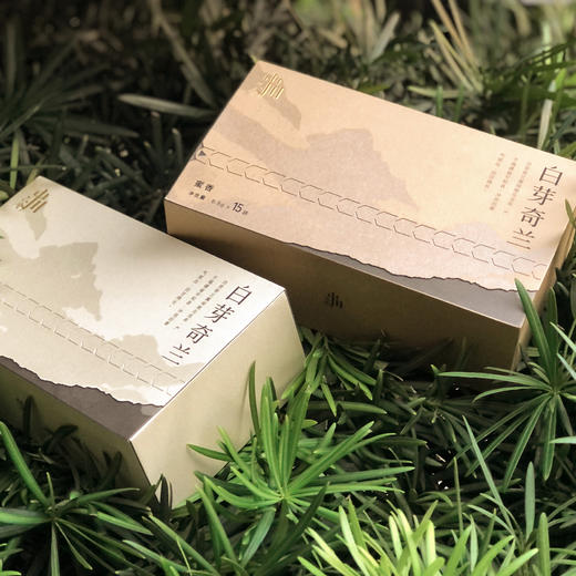 【2025年新茶】白芽奇兰茶 花果香/蜜香      127.5g/盒（8.5gx15袋） 商品图11