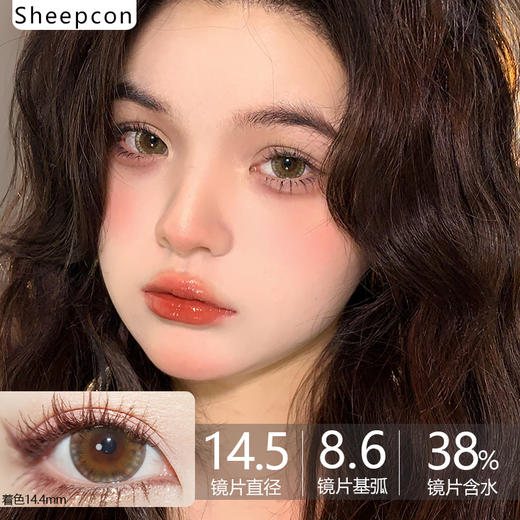 Sheepcon大直径品牌-纸杯蛋糕棕 商品图0