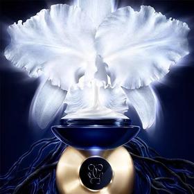 【1F】娇兰御廷兰花卓能焕活微精粹眼霜20ml