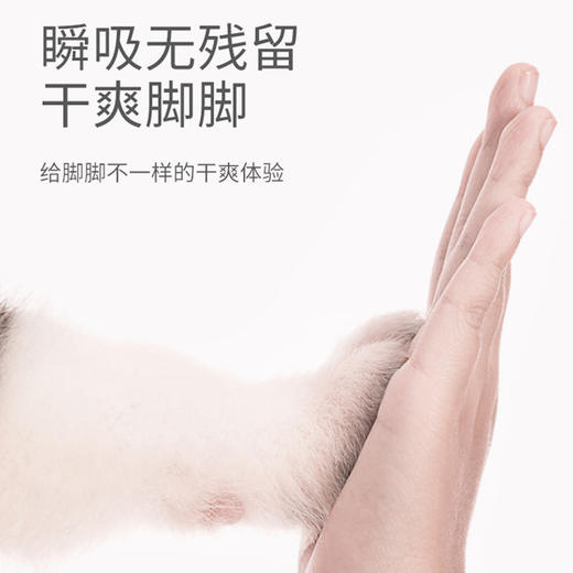 【将爱传递给爱宠】宠物尿垫加厚祛臭吸水垫猫咪尿片狗狗尿不湿联名款小猫猫用品清洁 商品图3