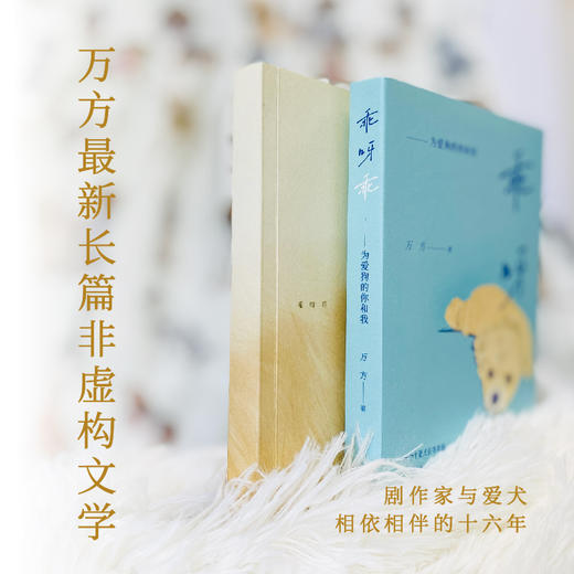 乖呀乖：为爱狗的你和我 商品图1