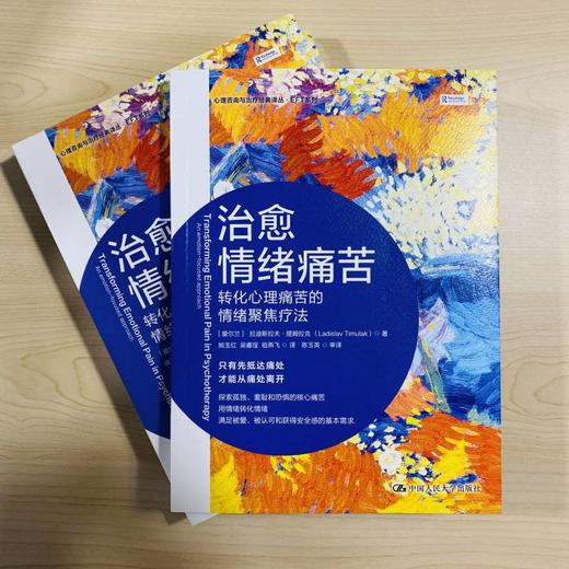 治愈情绪痛苦：转化心理痛苦的情绪聚焦疗法 商品图1