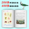 博物学家爸爸的自然课（全4册） 商品缩略图8