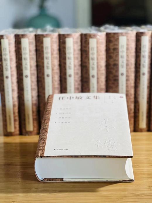 《任中敏文集》，任半塘先生著，全十册一套，大32开精装，凤凰出版社。定价1480，售价798元。 商品图1