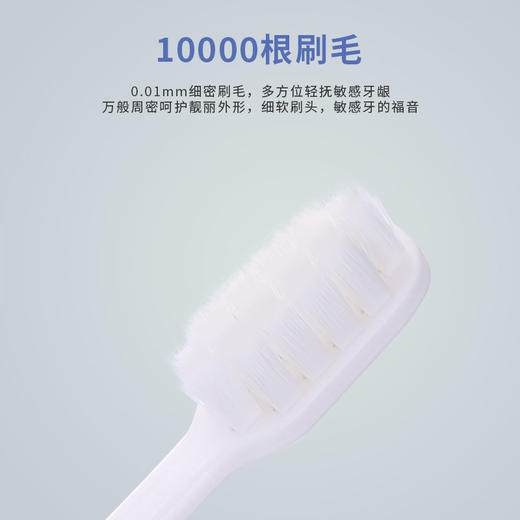 套餐四 清新夏日 立白 寻香假日洗衣液（蜜浸暖阳） 果醋洗洁精 六必治小苏打盐白牙膏（清新海盐）牙刷 组合 员工福利 家庭清洁 商品图8