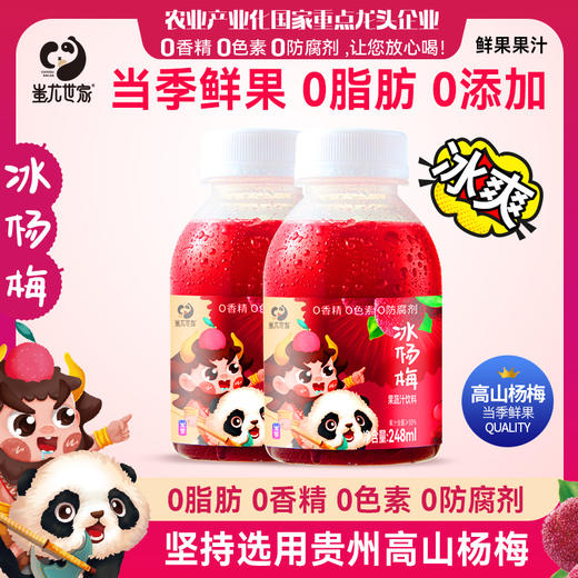 蚩尤世家冰杨梅汁 248毫升*6瓶（果蔬汁饮料） 商品图1