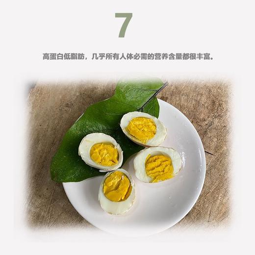 基地包邮 正宗泰和生态乌鸡蛋 30枚/盒 | 乌鸡国出品 商品图7