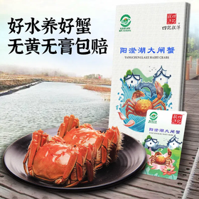 【中秋预售】【礼券】正宗阳澄湖大闸蟹 提货卡特大鲜活礼品卡蟹卡蟹券礼盒8只
