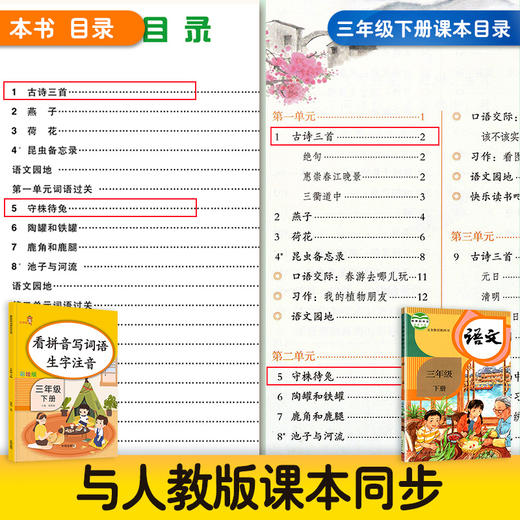 (仓发) 乐学熊 看拼音写词语生字注音 三年级下册语文书同步写字练习 彩绘版 生字注音拼音拼读训练 写字一课一练 生字掌握 规范练字/开明出版社/钱赛湖/9787513152938 商品图2