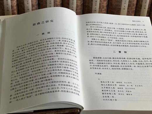 《任中敏文集》，任半塘先生著，全十册一套，大32开精装，凤凰出版社。定价1480，售价798元。 商品图7