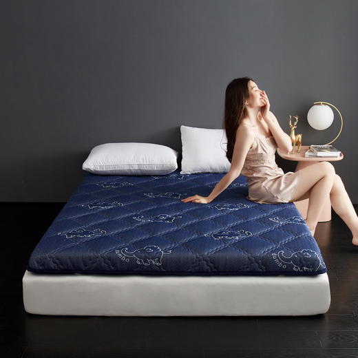 【床垫】-泰国乳胶床垫学生宿舍加厚3D立体垫子榻榻米床褥 商品图2
