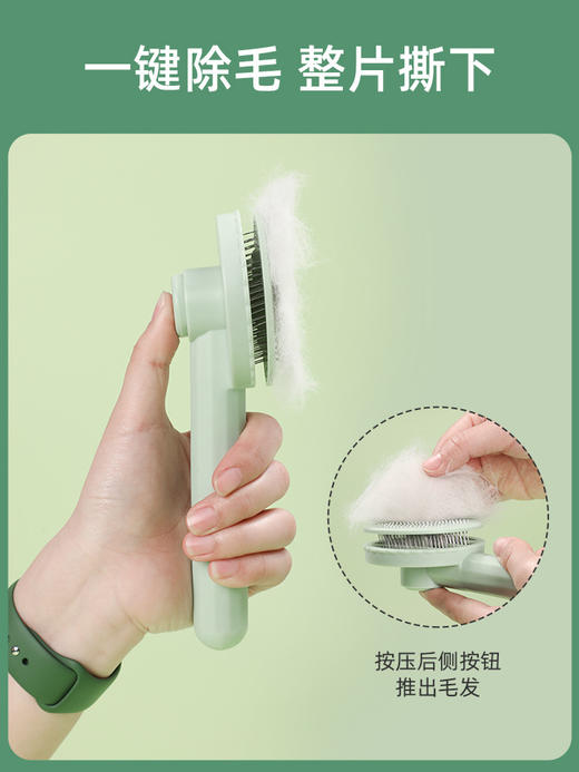 【宠物用品】狗狗猫咪梳子猫毛清理器去浮毛美容一键除毛梳宠物用品 商品图2