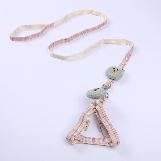 【宠物用品】狗狗牵引绳狗绳子溜猫遛狗绳狗链子小型犬中型犬泰迪博美狗狗用品 商品图1