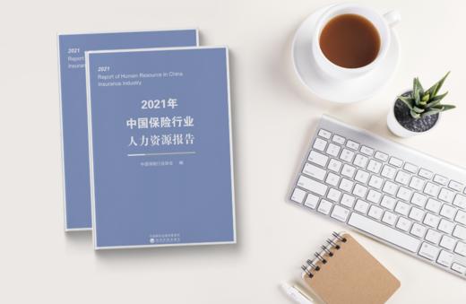 2021年中国保险行业人力资源报告 商品图2