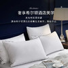 防水丨防汗丨防油 希尔顿三防科技枕 轻松应对油污 商品缩略图4
