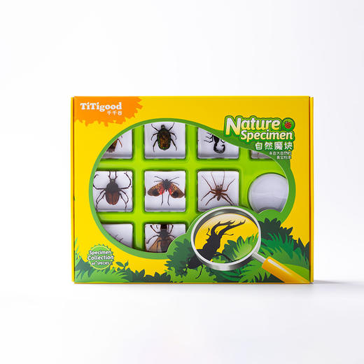 千千谷昆虫 2800261       【新】昆虫组合10个装(1101) 商品图1