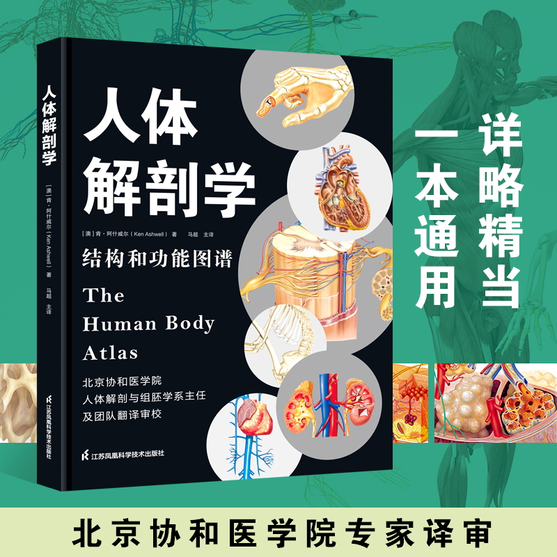 《人体解剖学：结构和功能图谱》人体科普百科入门