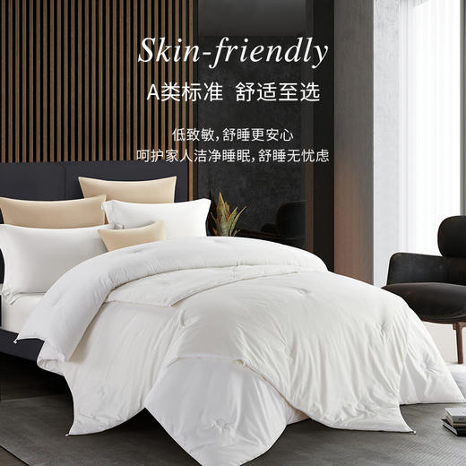 康尔馨品牌-德绒A类二合一被芯 子母被三层蓄热 五星级酒店般舒适的睡感 商品图1