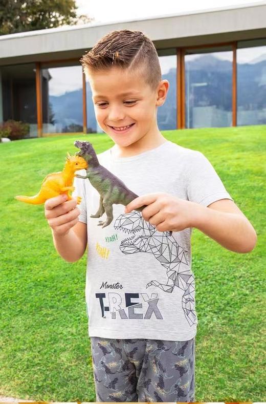 【萌宠恐龙莫代尔】SCHIESSER  舒雅儿童睡衣 2022春夏新品男童莫代尔短袖7分裤卡通家居服3B/19552H 商品图2