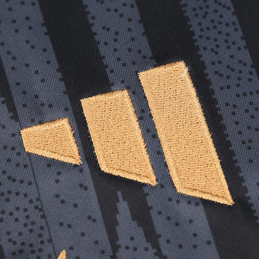 ADIDAS/阿迪达斯DFB PRESHI德国队热身足球短袖球衣HC1286 商品图2