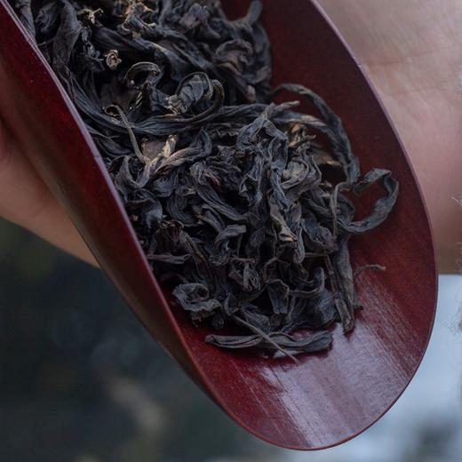 流香涧肉桂 2021年正岩坑涧肉桂 不鼓自鸣 藏茶密室出品 商品图1