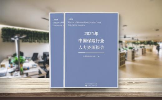 2021年中国保险行业人力资源报告 商品图1
