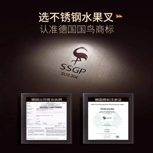 【锌合金天鹅座 仪态优雅曲线优美】德国三四钢SSGP 创意可爱欧式家用水果签果插天鹅座 商品图3